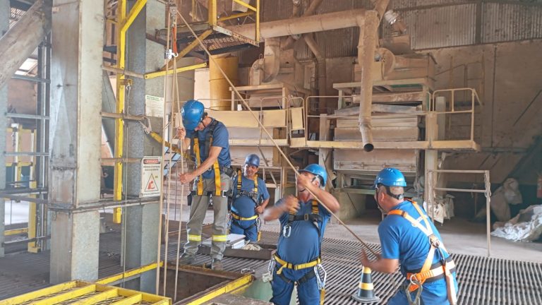 Imagem do WhatsApp de 2025-04-11 à(s) 17.02.25_18fc5feb